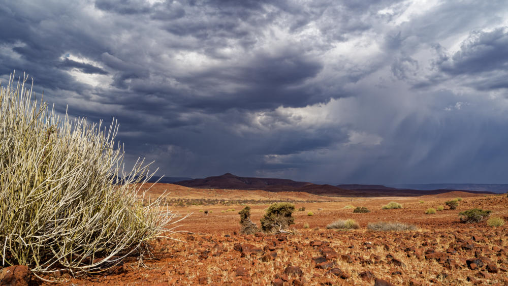 Hein-s_Camp_Namibia_2023.jpg