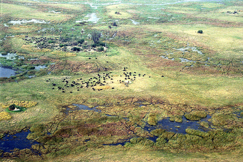 Das Okavango-Delta ist einfach nur Traumhaft!
