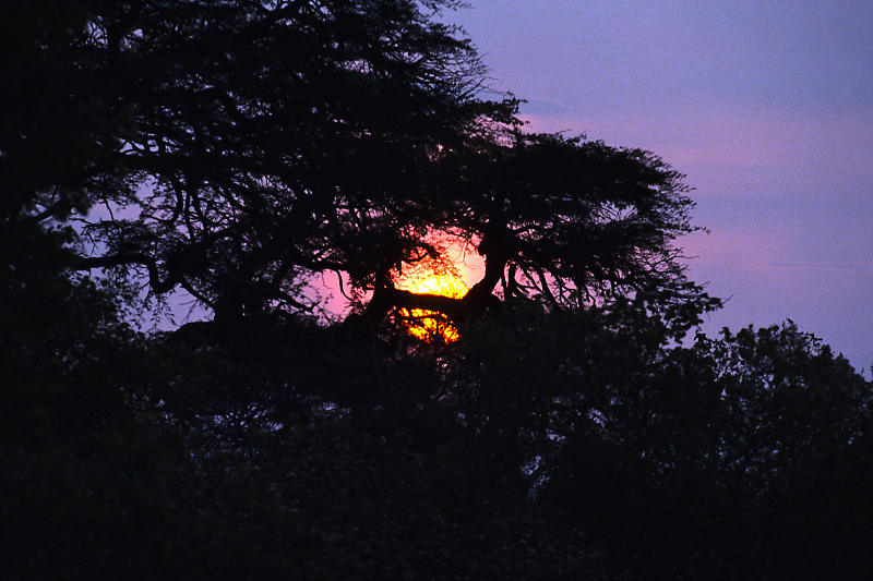 Sonnenuntergang im Savuti Campsite