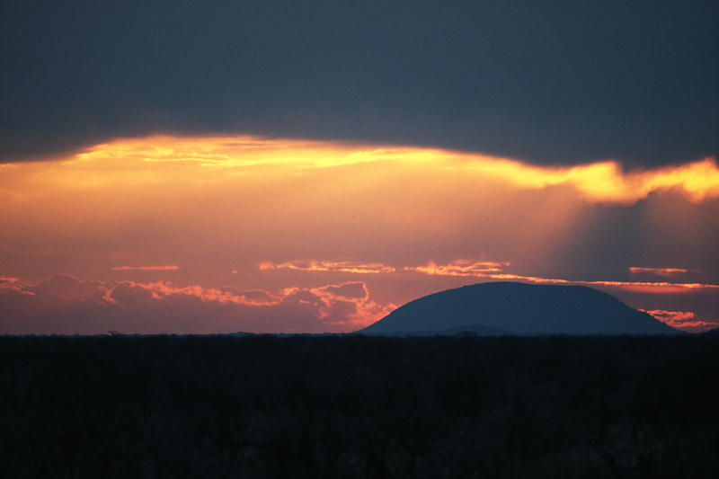 Fantastische Lichtstimmung im Madikwe NP