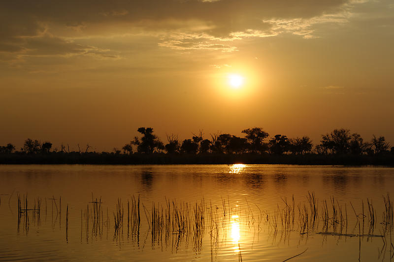 Sonnenuntergang im Okavango-Delta