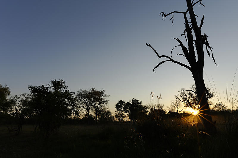 Sonnenaufgang im Kanana Camp