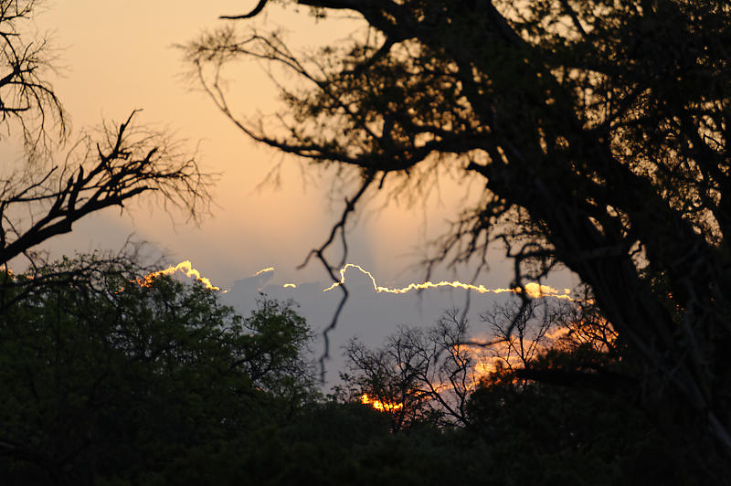 Sonnenaufgang im Kanana Camp