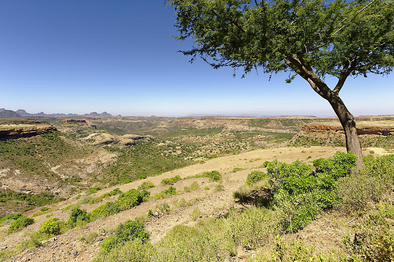 Landschaft ganz im Norden.