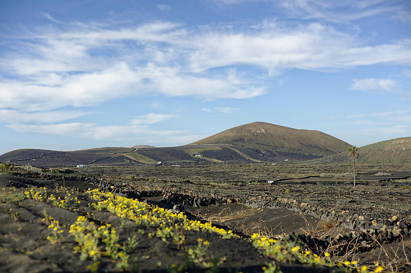 Weinberge Weinberge