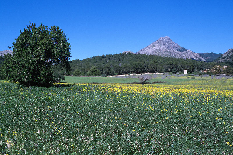 Alleine Unterwegs Alleine Unterwegs