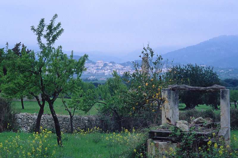 Selva aus der Ferne Selva aus der Ferne