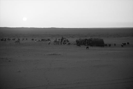 Sonnenaufgang in der Wüste Sonnenaufgang in der Wüste