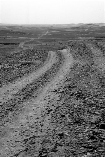Auf dem Weg in die Wüste Auf dem Weg in die Wüste