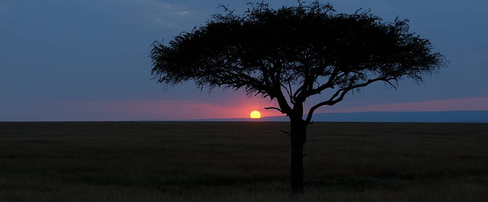 Sundowner in der Masai-Mara