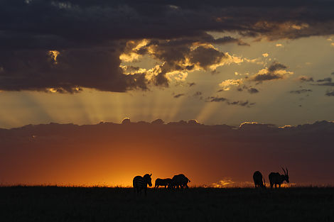 Sonnenuntergang