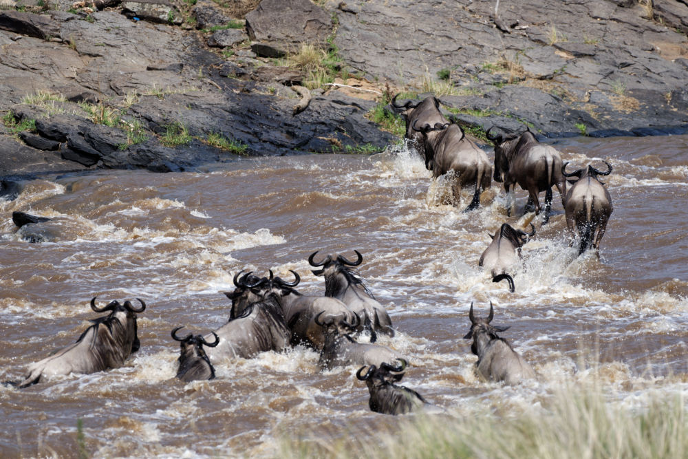 Crossing am Fluss Mara