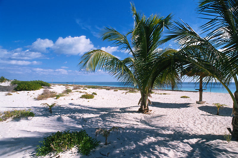 Isla Blanca Isla Blanca
