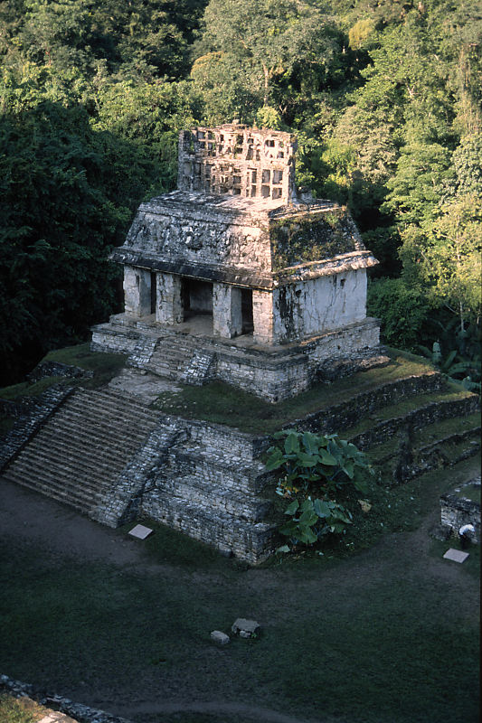 Palenque Palenque