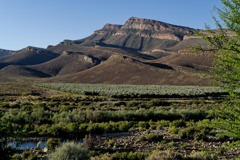 Cederberg - Klipbokberg