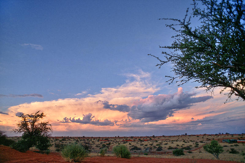 Sonnenuntergang in der Kalahari