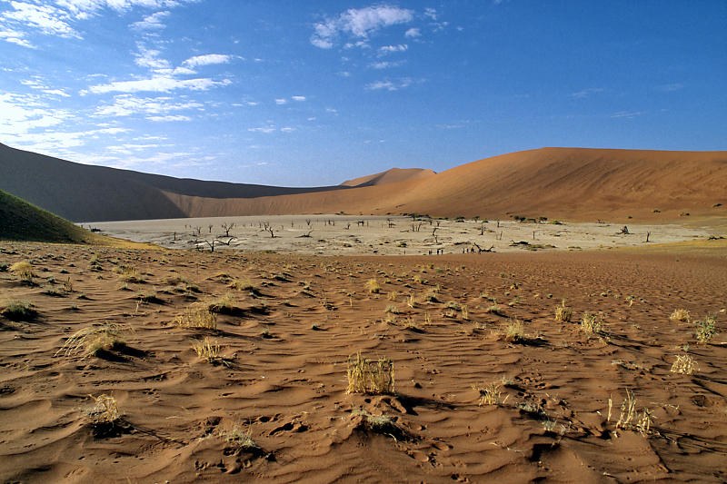 Namib - Deadvlei Namib - Deadvlei