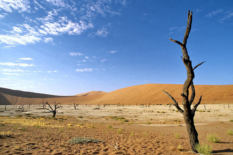 Namib - Deadvlei