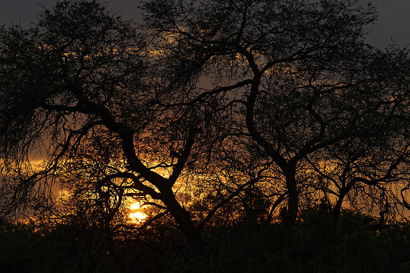 Sonnenaufgang bei Purros