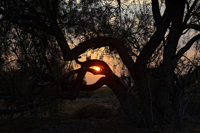 Sonnenaufgang in der Nähe des Obob