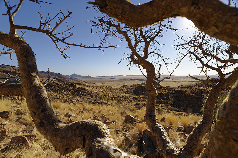 Blick über die Namib