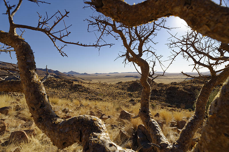 Blick über die Namib Blick über die Namib