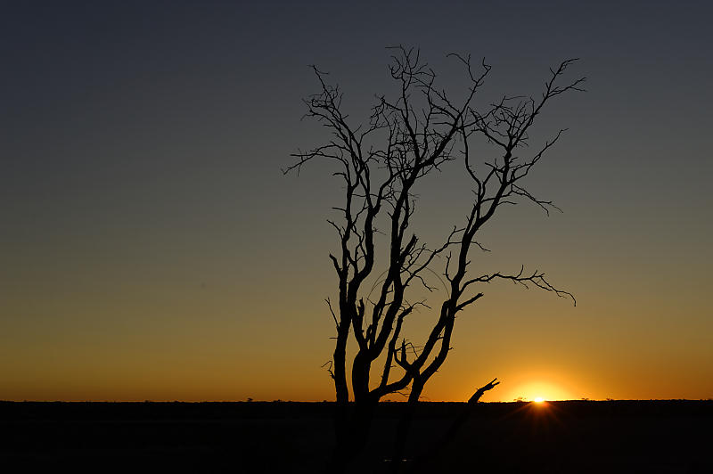 Sonnenuntergang in der Kalahari