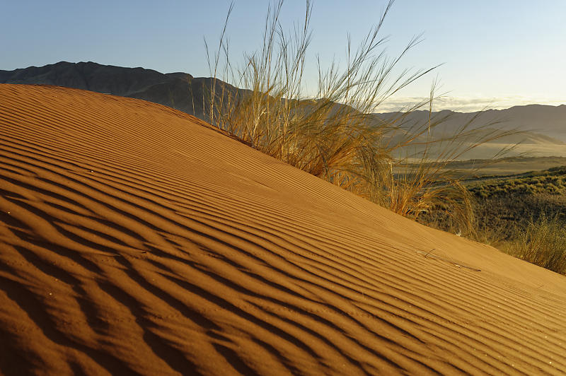 Namib Rand