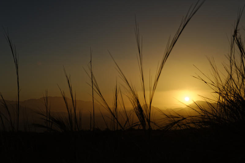 Namib Rand