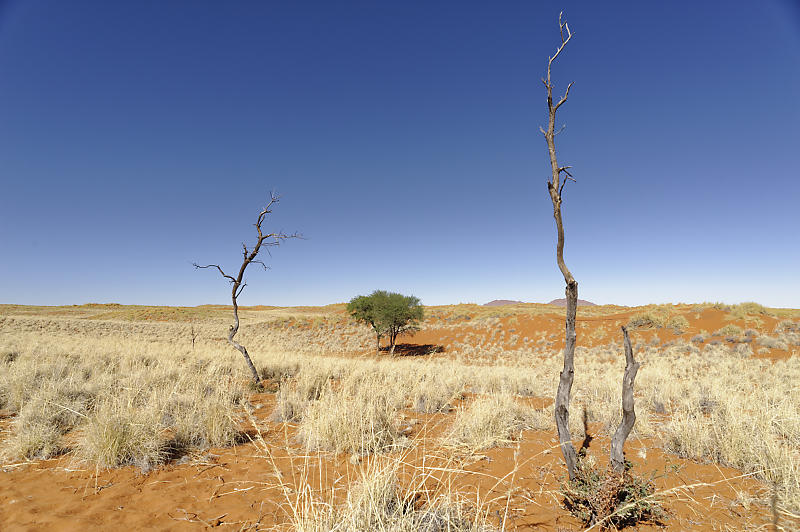 Namib Rand Nature Reserve Namib Rand Nature Reserve