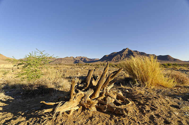 Hauchabfontein Hauchabfontein