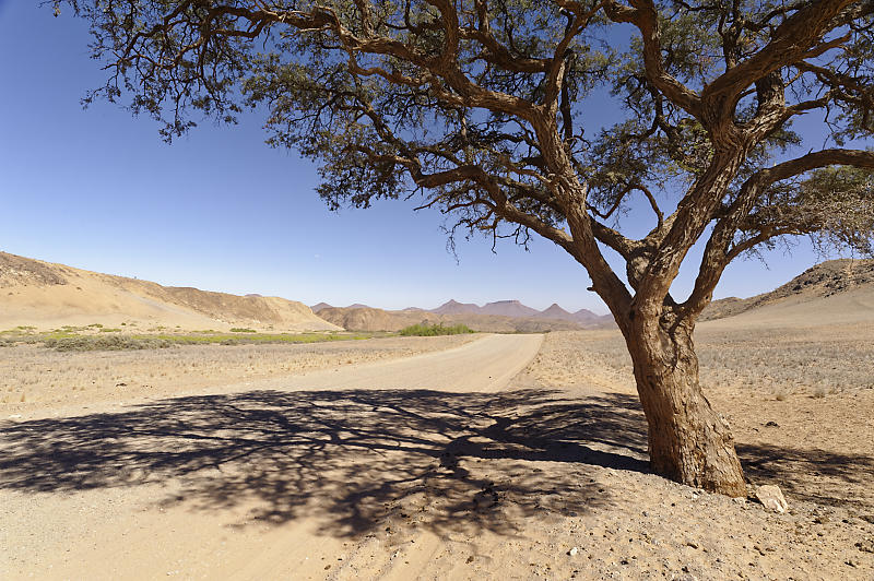 Damaraland Damaraland