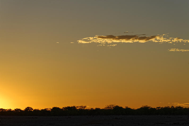 Etosha Ost