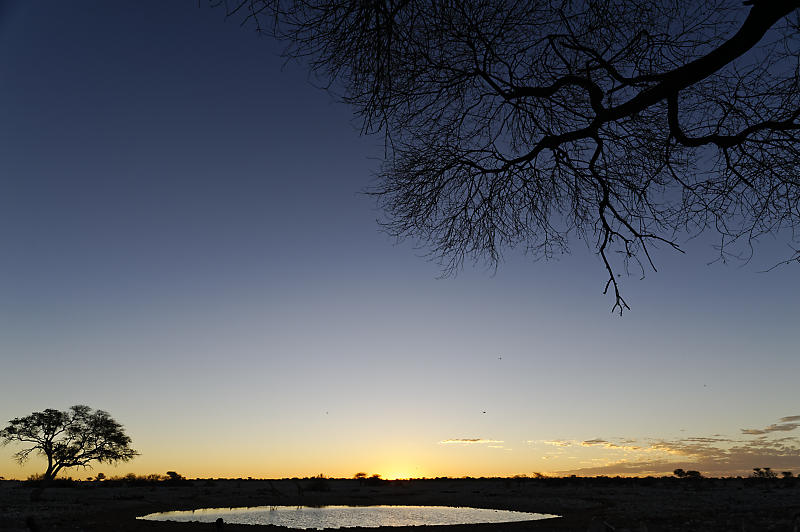 Etosha Ost