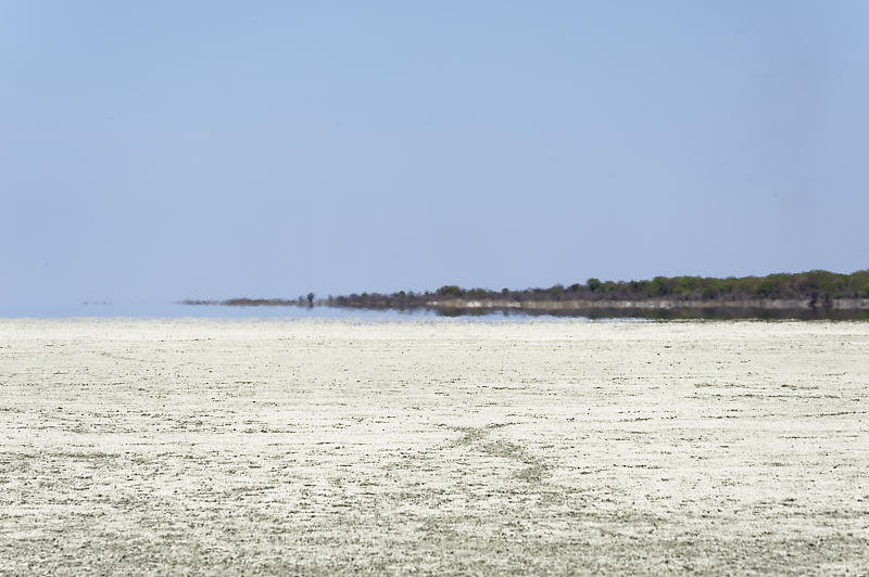 Etosha Ost