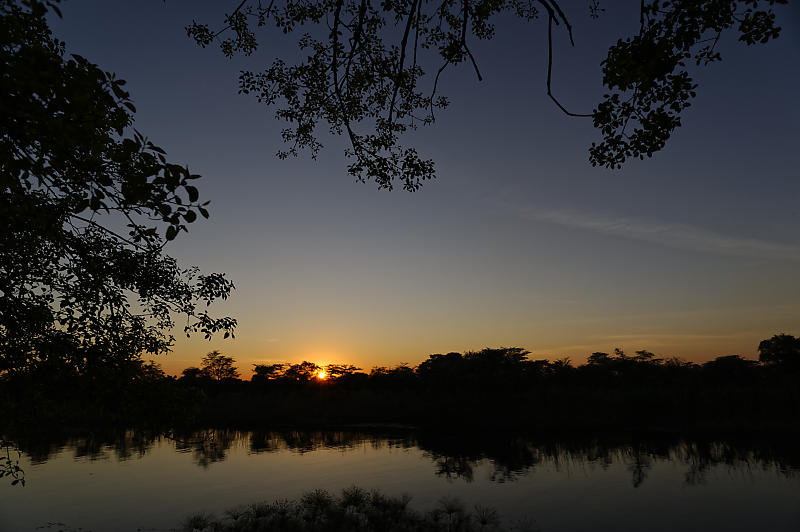 sun-downer sun-downer