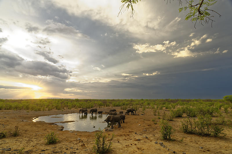 Etosha National Park - Halali