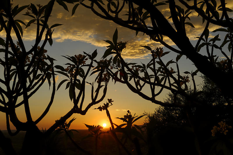 sun-downer wie er schöner kaum sein kann