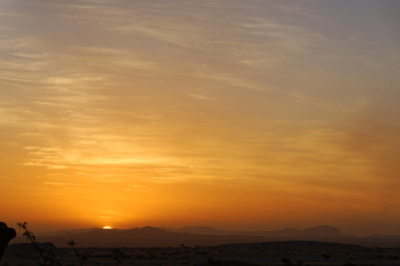 sun-downer sun-downer