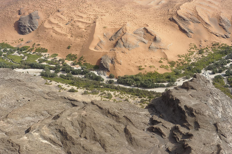 Namib Namib