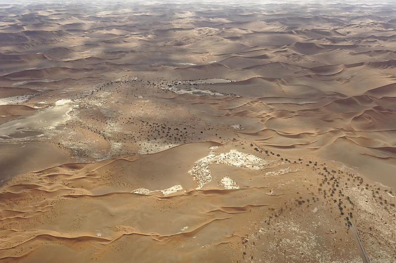 Namib Namib