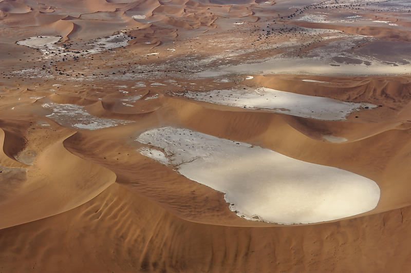 Namib Namib