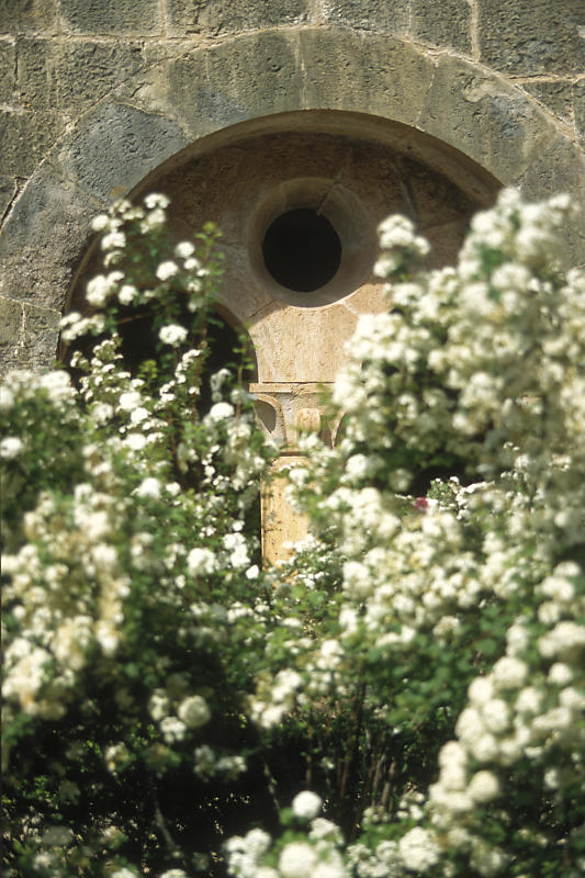 In der Abbaye du Thoronet