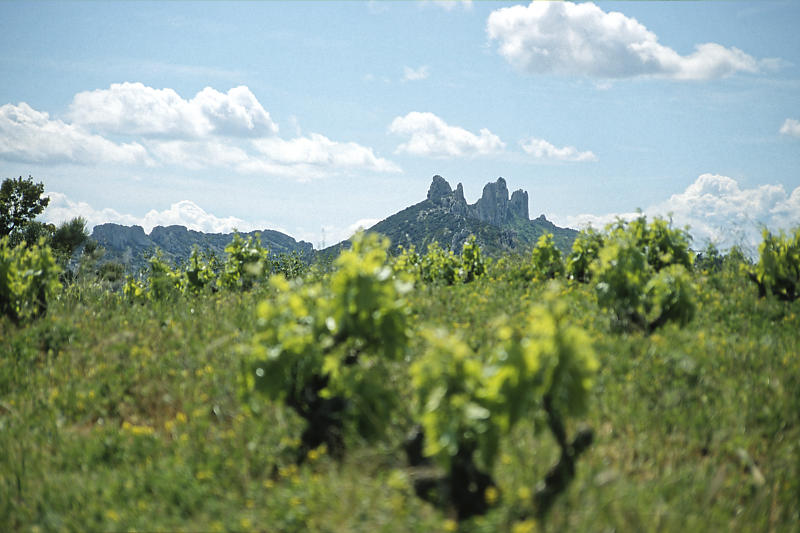 Dentelles de Montmirail Dentelles de Montmirail