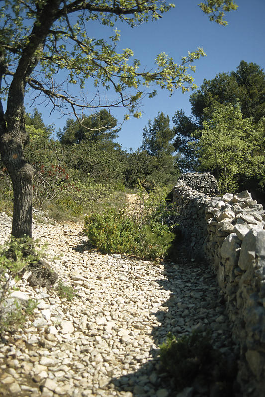 mur de la peste