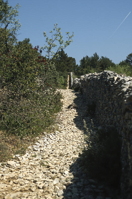 mur de la peste