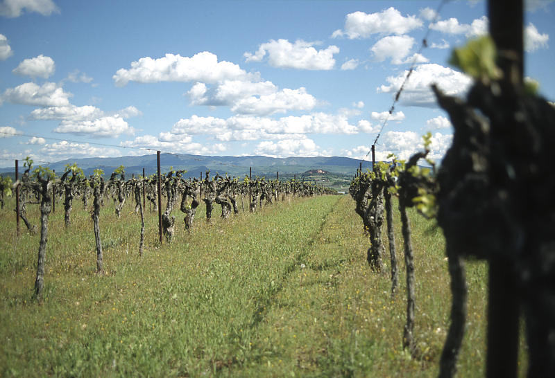 Domaine la Tuilière