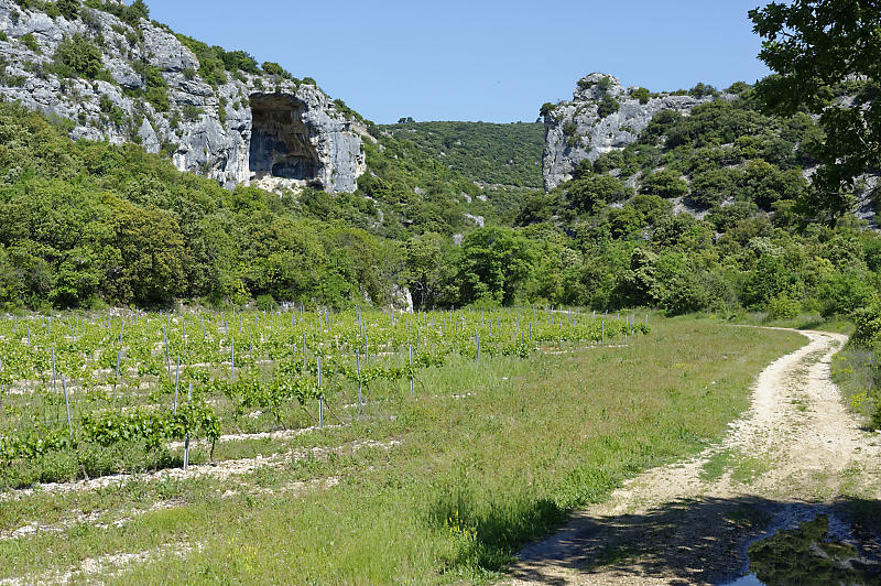 Combe de Font Jouvale Combe de Font Jouvale