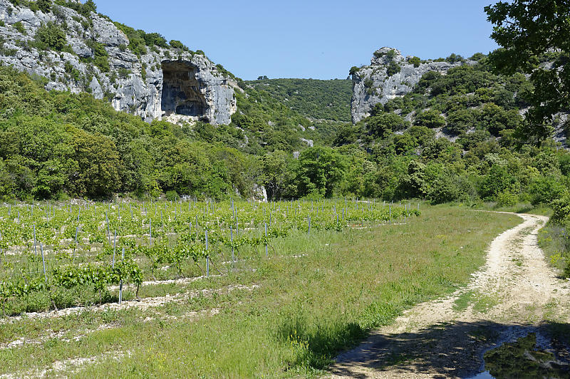 Combe de Font Jouvale