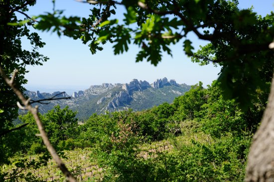 Dentelles de Montmirail Dentelles de Montmirail